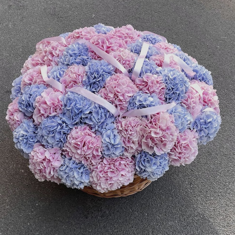 Корзина из 57 синих и розовых гортензий 