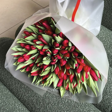 Букет из 101 красного тюльпана