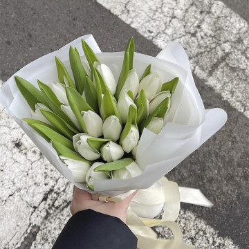Букет из 25 белых тюльпанов