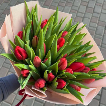 Букет из 25 красных тюльпанов 